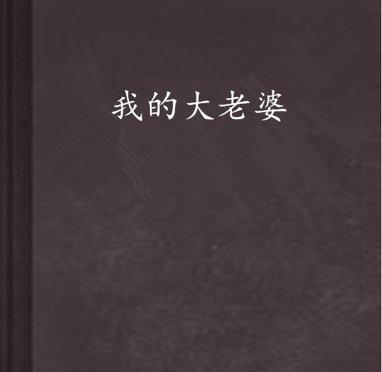 我的大老婆