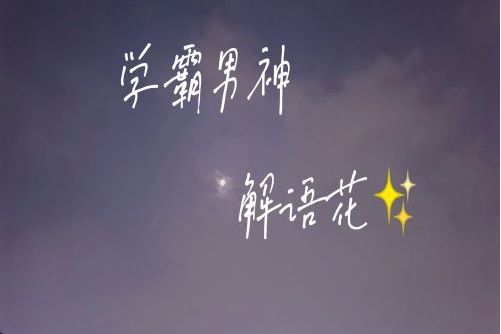 学霸男神