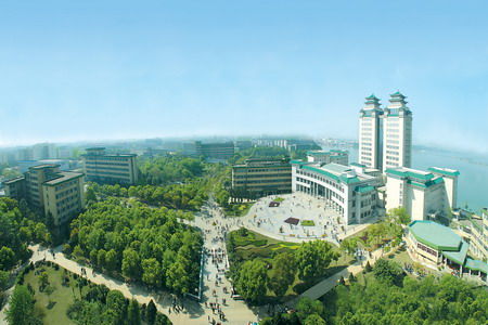 中南民族大学生物医学工程学院