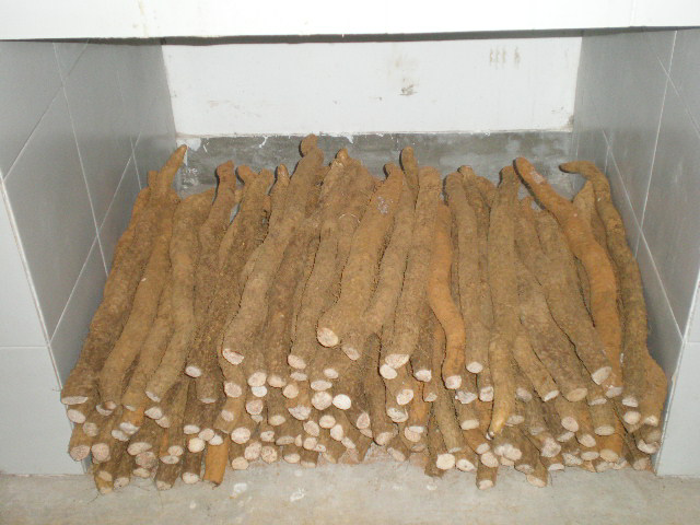 ձĳɽҩ_ɽҩ˫ӷǶƷ_ɽҩʲô