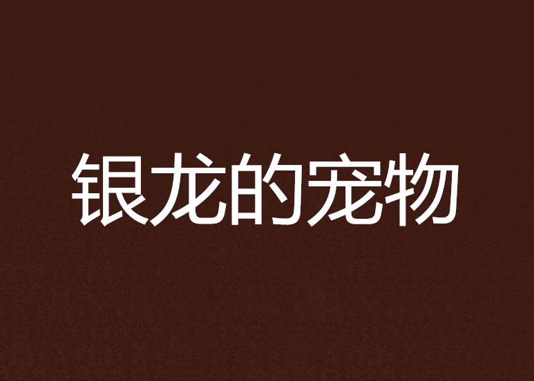 银龙的宠物