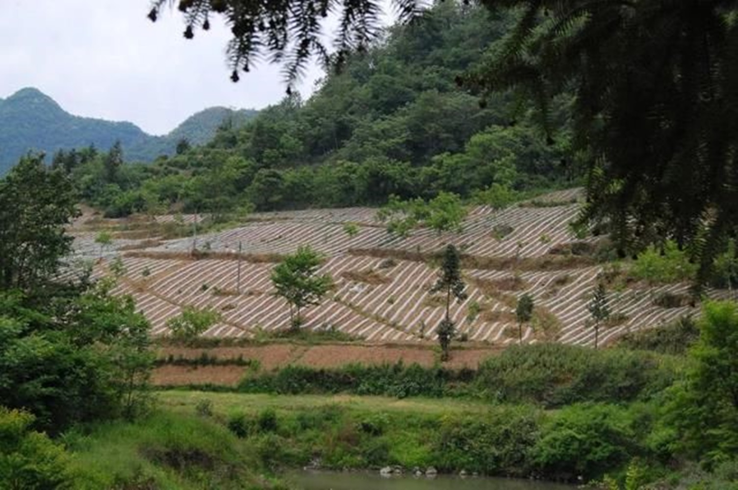 p>大庙乡,隶属于湖北省十堰市竹山县,地处 a target"_blank href"