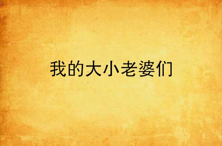 我的大小老婆们
