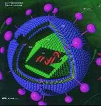 基因拼接技术和DNA重组技术