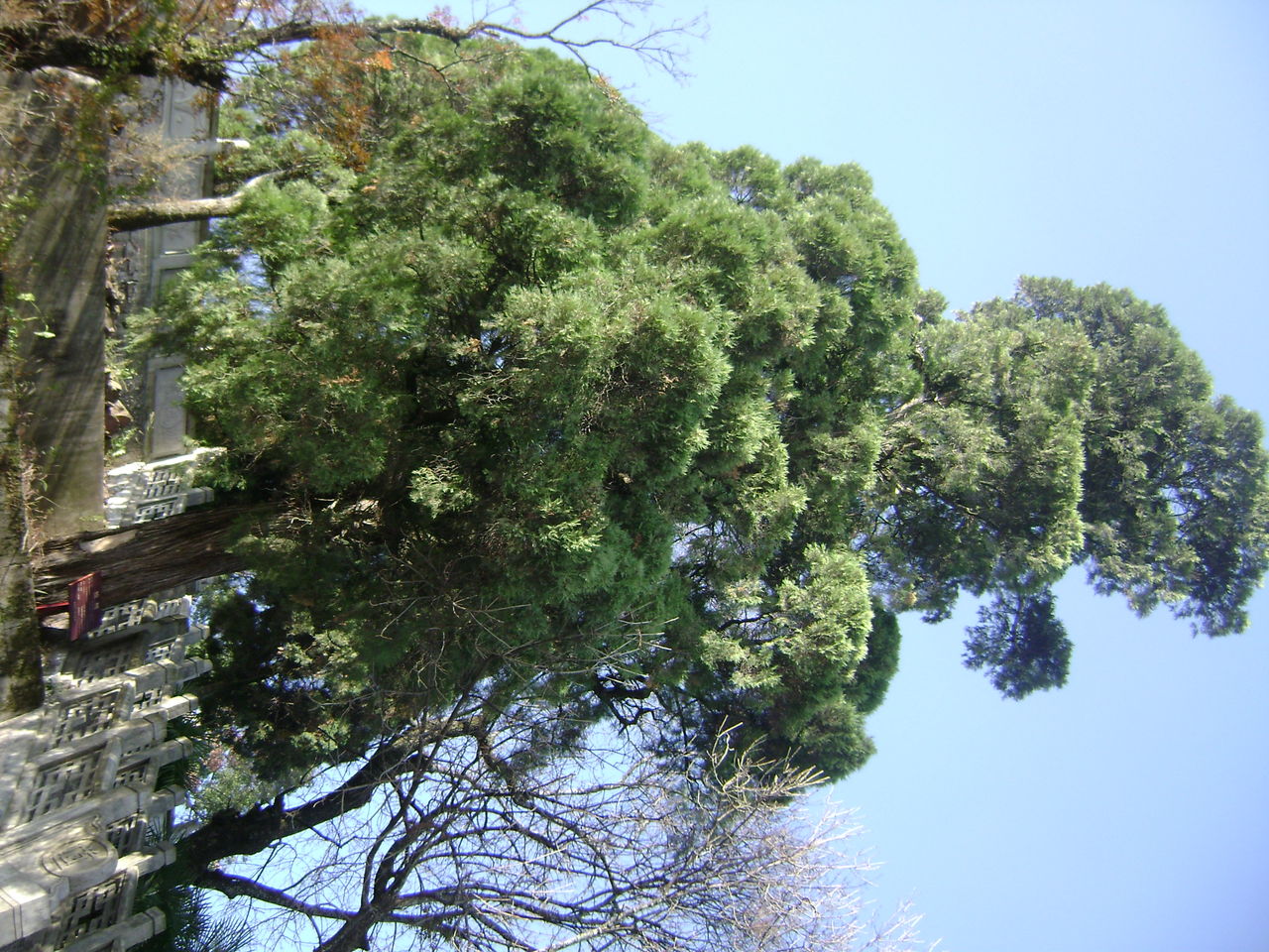 湖南八面山国家级自然保护区