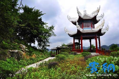 鹿冲关森林公园