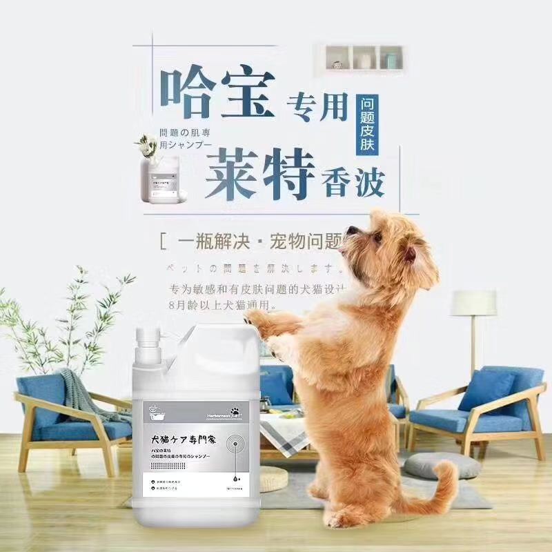 哈宝·莱特