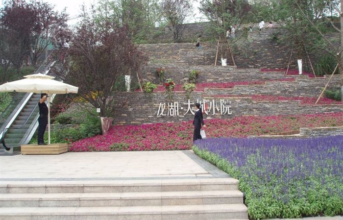 龙湖大城小院