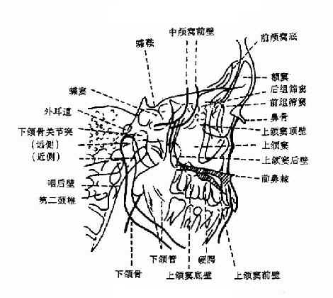 p>侧颅底肿瘤(tumors of the lateral skull base)主要有颈静脉球体