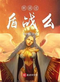 听说过盾战么