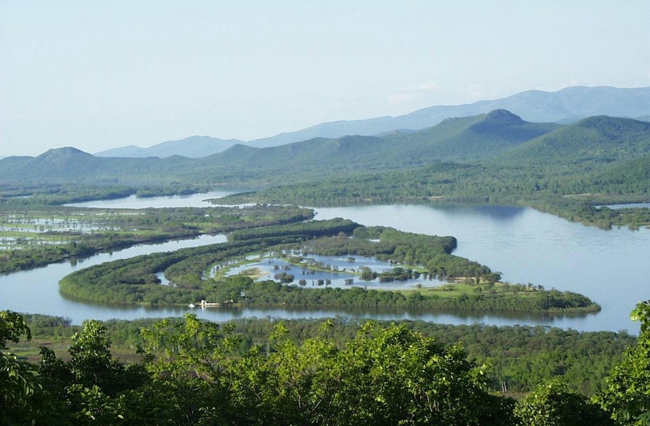 珍宝岛