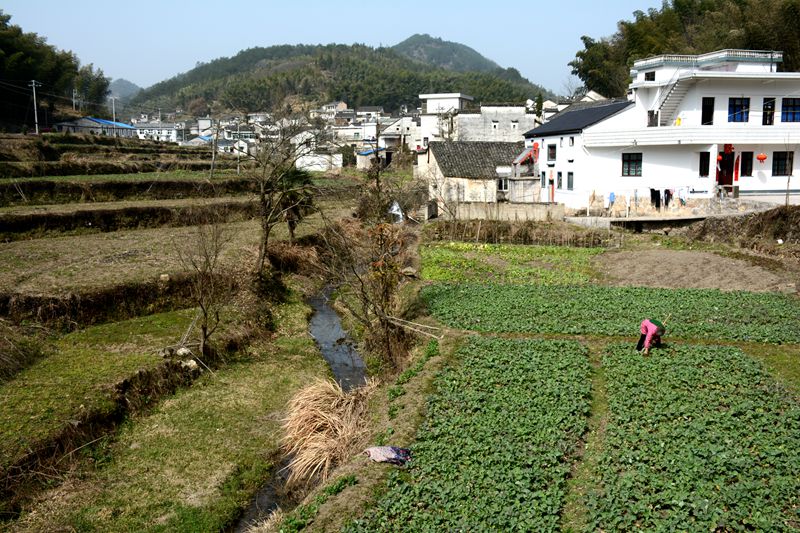 西塍村