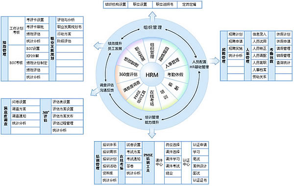 组织的管理