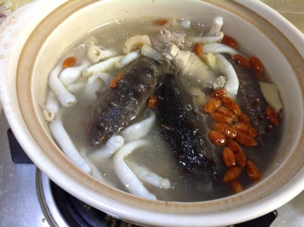 海参猪肉汤