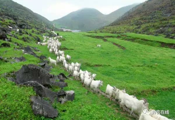 й֮_ȥǻ ȥƤ _й֮