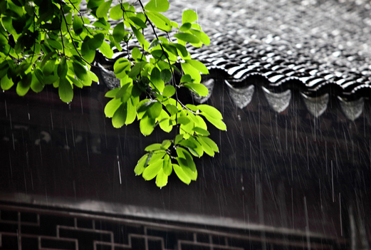 梅雨季节
