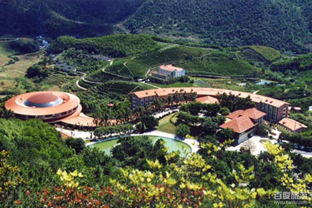 梅州市雁南飞茶田景区