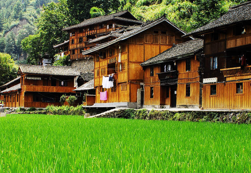  p>西江千户苗寨是一个保存苗族"原始生态"文化完整的地方,由10余个