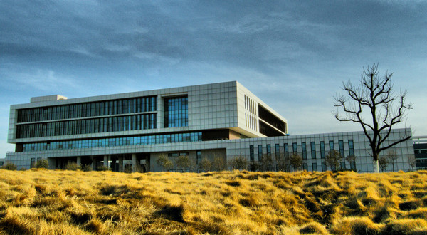 shandong polytechnic university