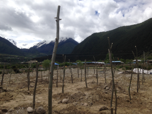  p data-id="gn3ptq3f7l">吞白村是西藏自治区林芝市米林县派镇辖村.