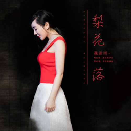 魏新雨歌曲(魏新雨歌曲合集)