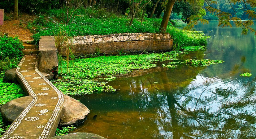  p data-id="gnx3pbb74k">绿岛森林公园坐落在有"东方鲁尔"之称的沈阳