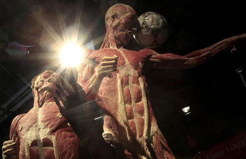 冯·哈根斯生物塑化(大连)有限公司