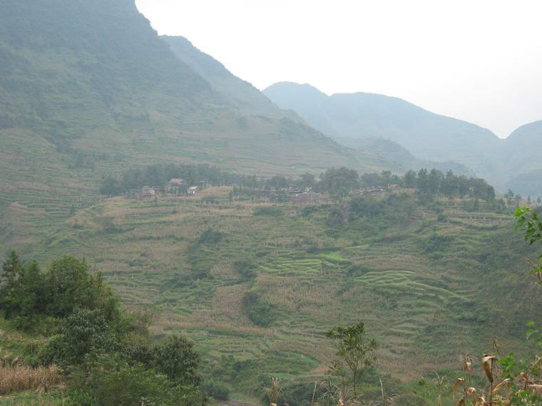 云南省/18664752" data-lemmaid="18664752">云南省 /a>昭通市镇雄县