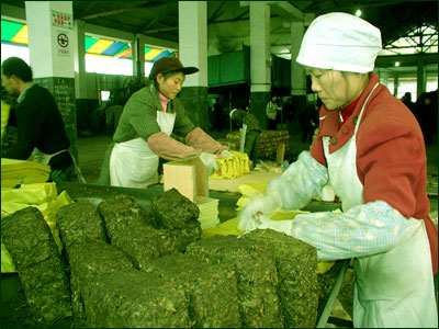  p>西路边茶简称西边茶,系四川灌县,北川一带生产的边销茶,用蔑包包装