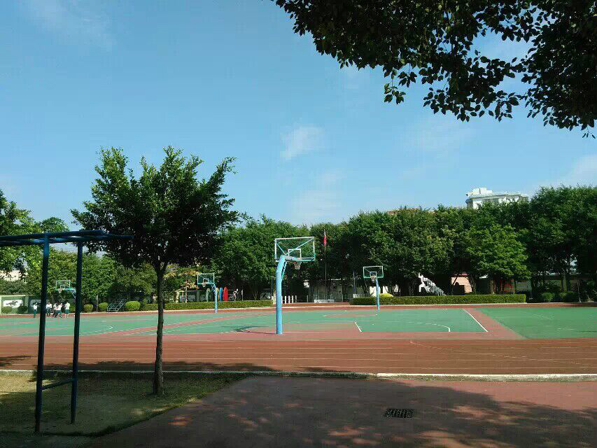 广州第八十一中学