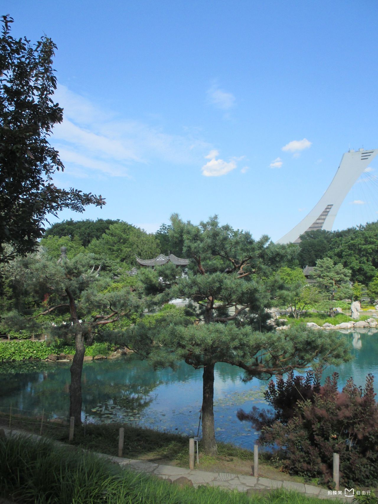 蒙特利尔植物园