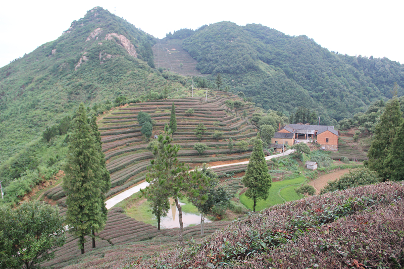  p>南溪村是安徽省六安市金寨县南溪镇下辖村,位于南溪镇的东部. /p>