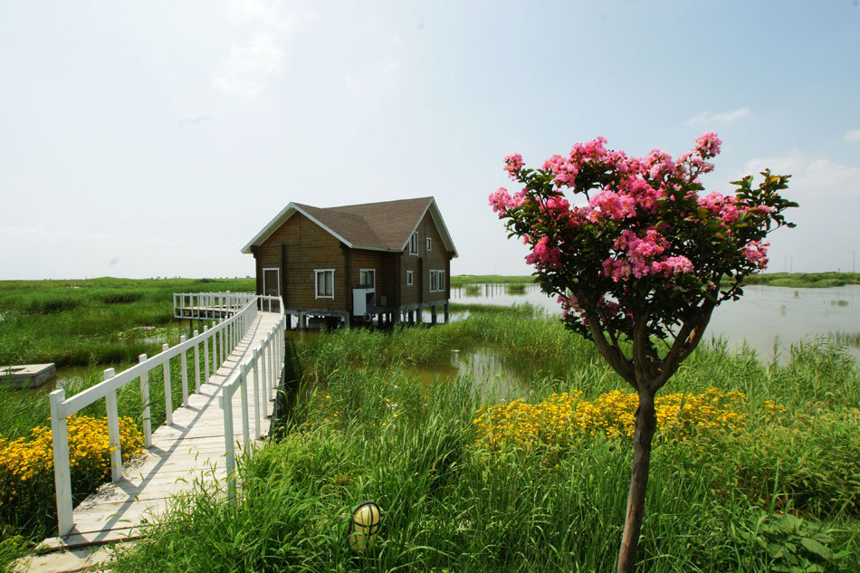 曹妃甸湿地公园