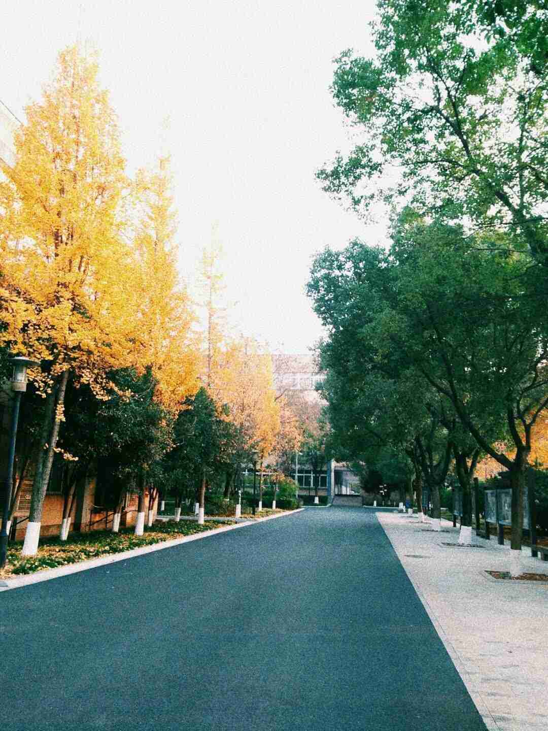 金华市汤溪高级中学
