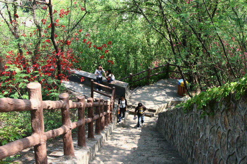 大帽山郊野公园