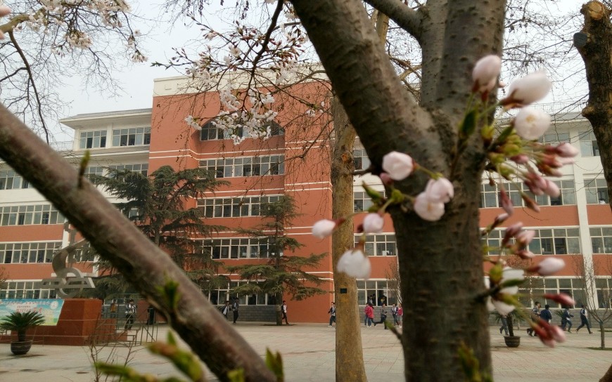 定州市实验中学