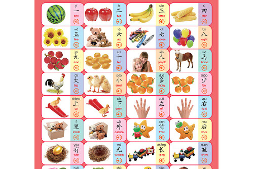 爱德少儿幼儿启蒙有声挂图认识汉字