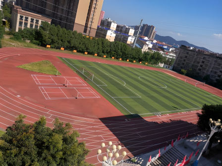 湖北省鄂南高级中学图片