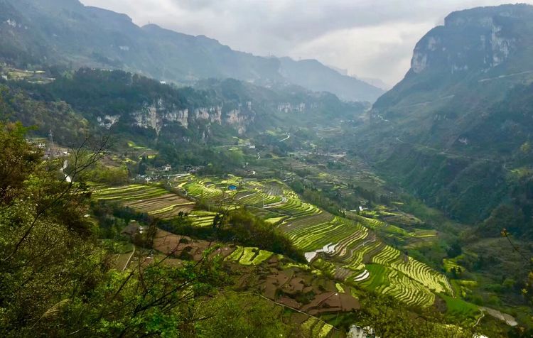  p data-id="gnhdhb93h5">白马镇,隶属于重庆市武隆区,地处 a target=