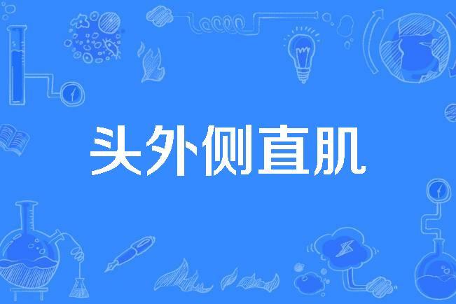 头外侧直肌