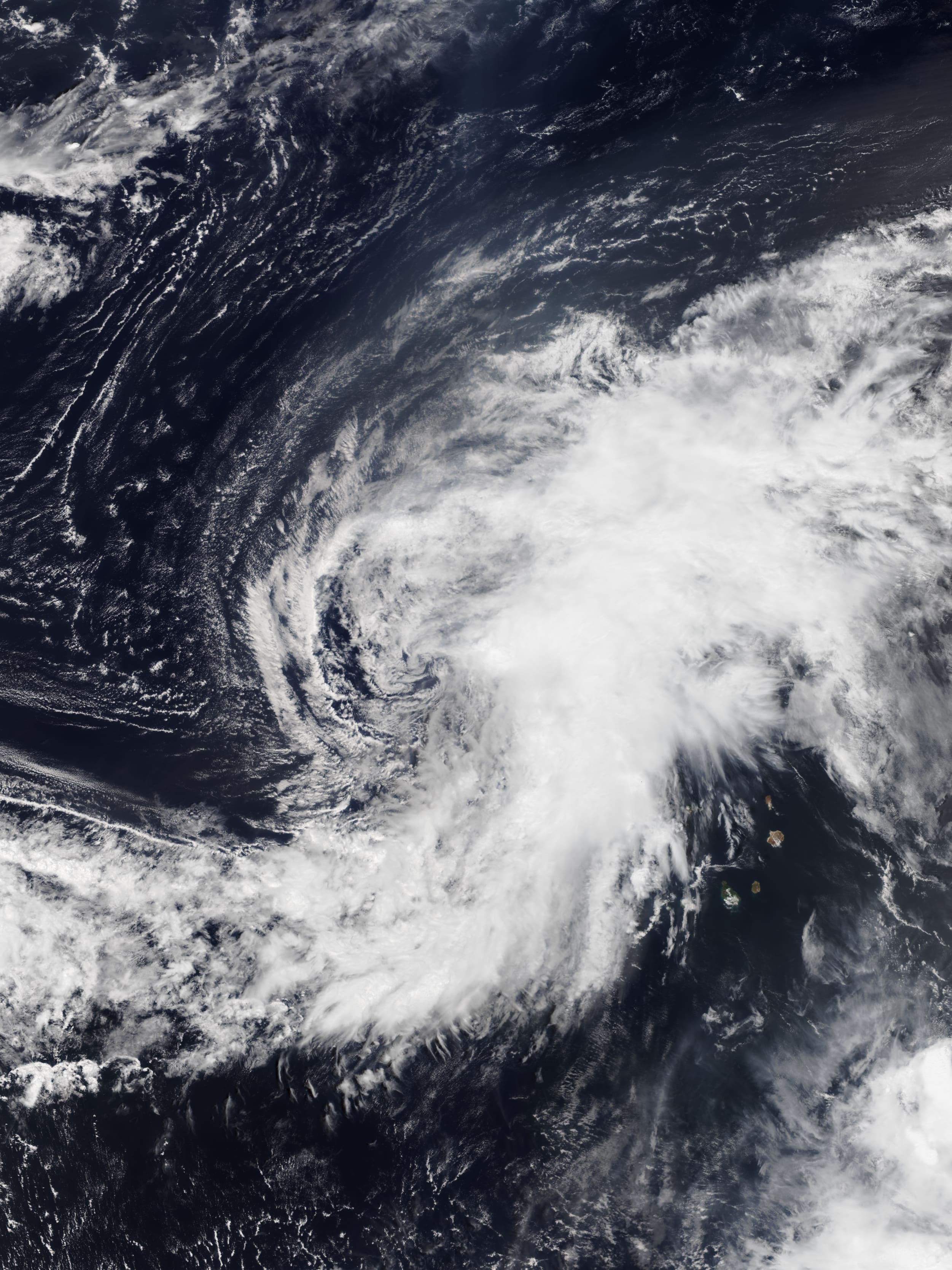 2020年大西洋飓风季