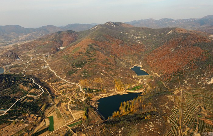 龙山镇