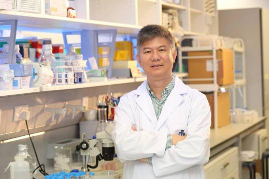 刘红斌（香港科技大学前讲座教授）_百度百科