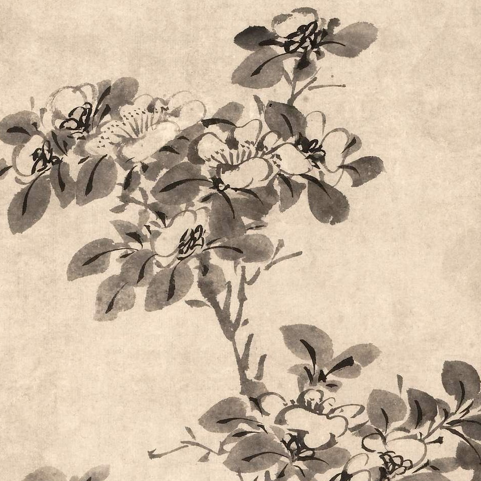 明陈淳山茶水仙图轴