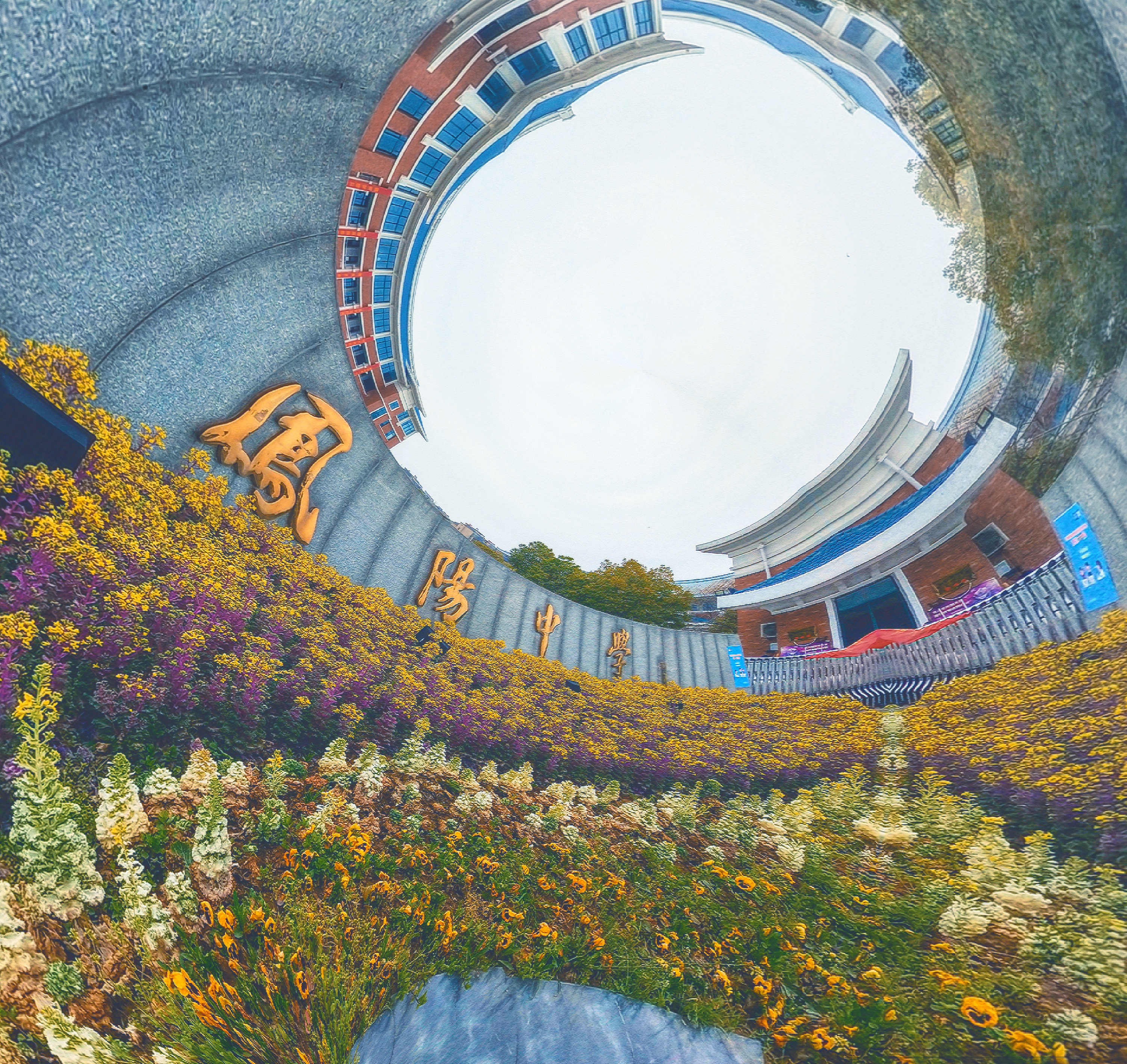 安徽省凤阳中学