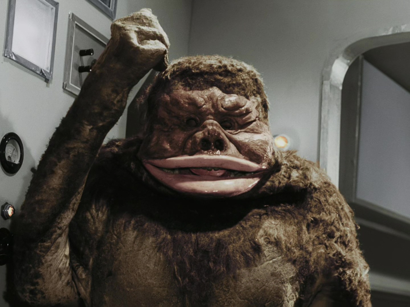 人工生命体m1号