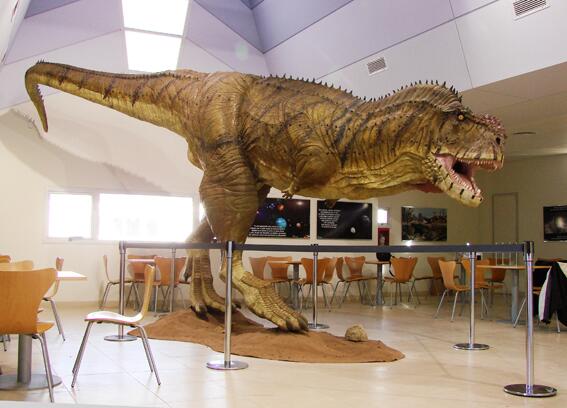  p> b>阿贝力龙 /b>(学名abelisaurus)是 b>