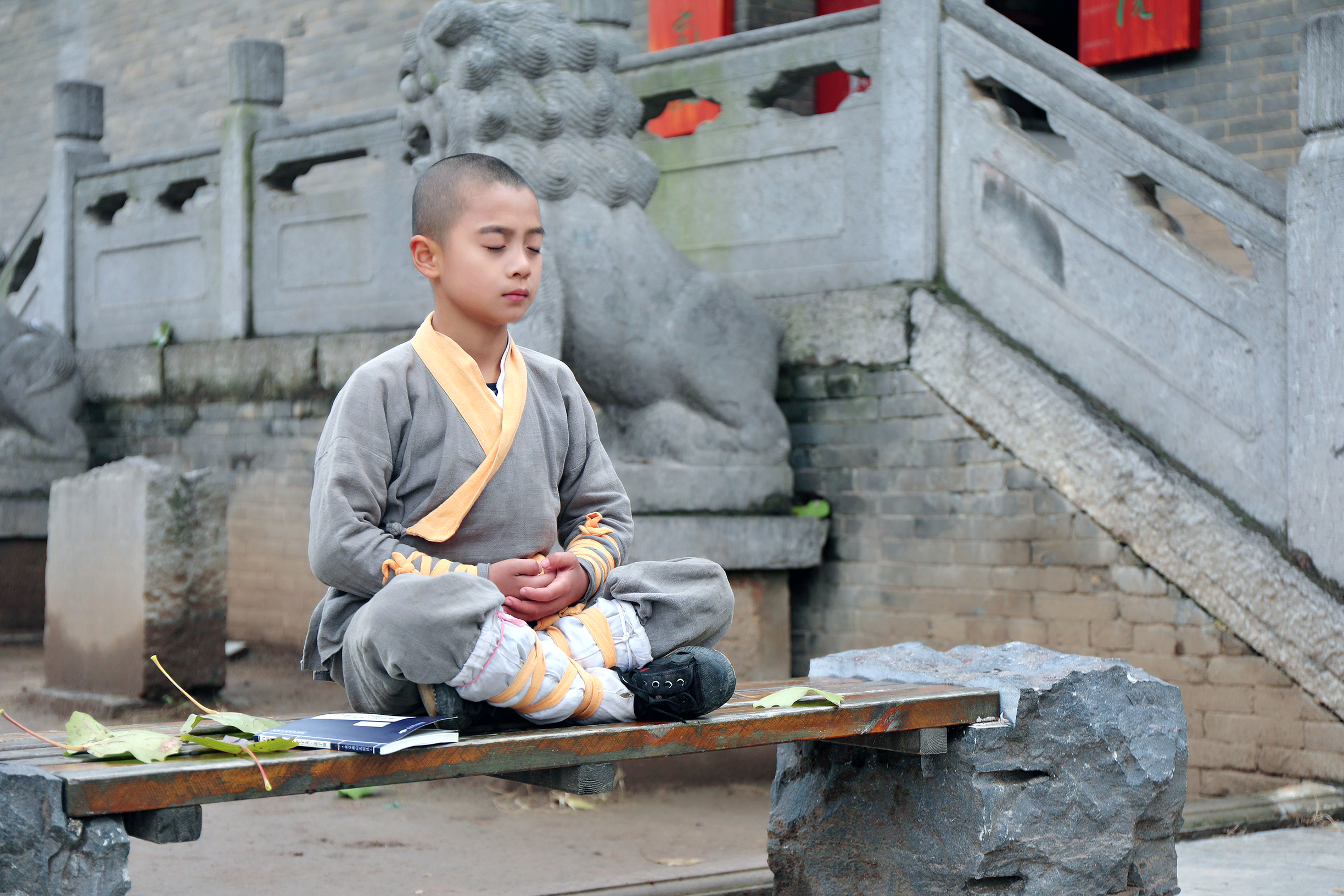 asy730pp">"少林七小侠"是由"释家门徒"于2020年推出的少林小子组合