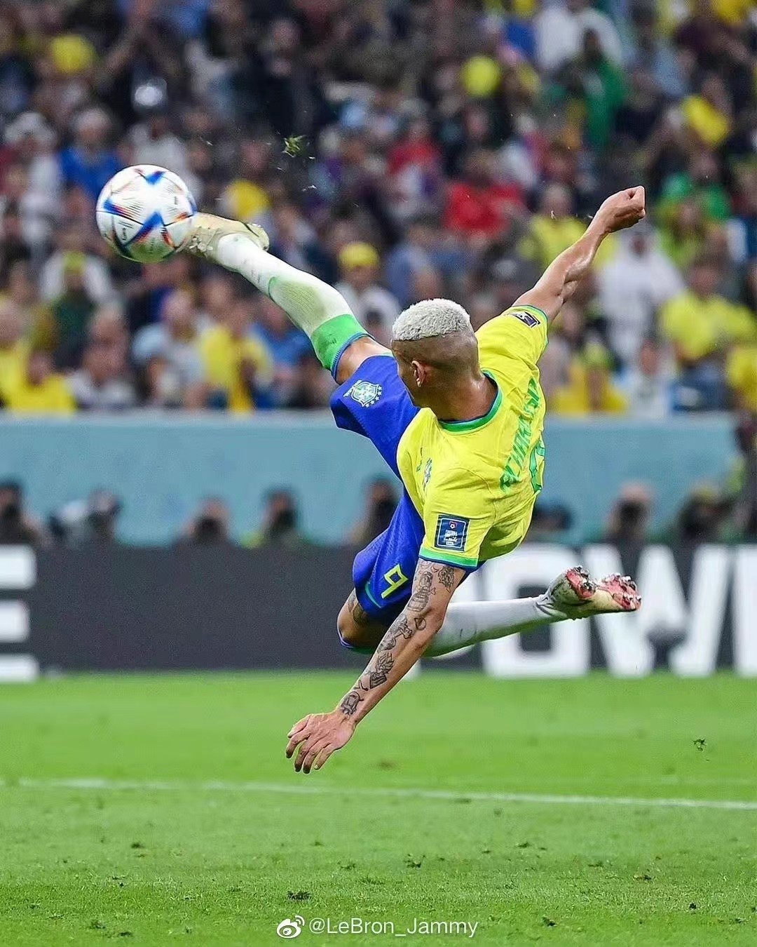 里沙利松·德·安德拉德