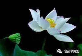 儒、道、佛三家的“明心见性”，就在于追求敬、真、净之善_百科TA说